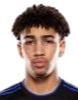 https://img.autoperfs.com/img/football/player/fb7fd3390bdc25307ce54843fe6472dd.png